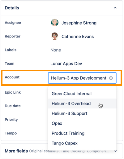 Account_field_in_Jira_issue.jpg