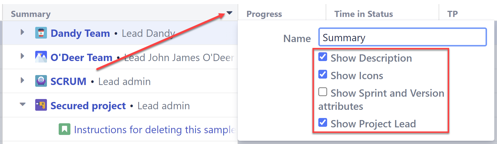 Summary column options