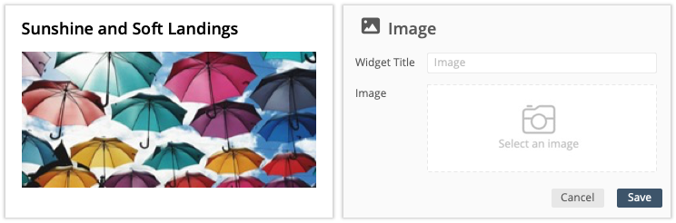 Image Widget Settings