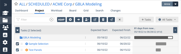 Project view with tasks selected to engage the bulk editor