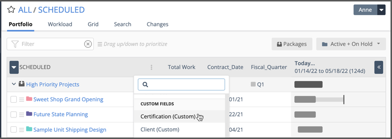 Custom Data columns on Portfolio, Package and Project Views