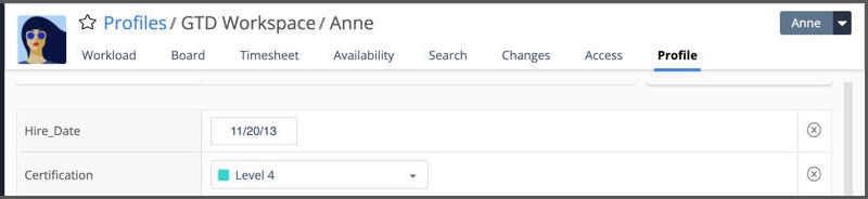 Custom Data used on Profiles