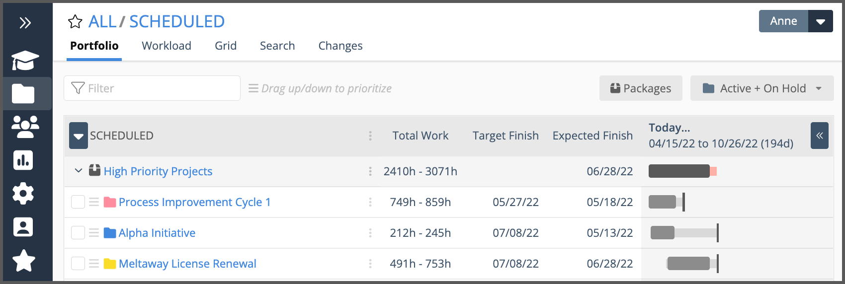 Portfolio, Package and Project Views