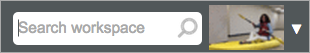Search Bar