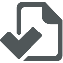 Checklist Icon