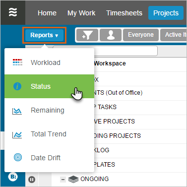 Project Status Report