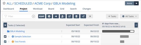 Project view with tasks selected to engage the bulk editor.