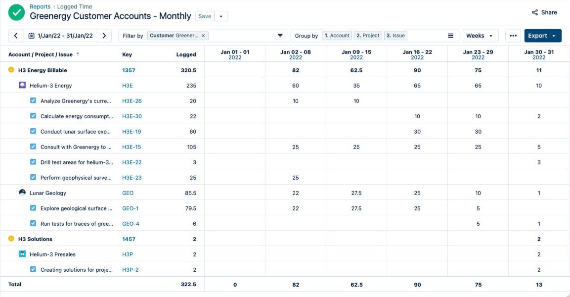 Customer's logged time report