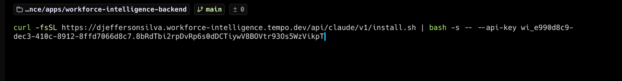 Pasting Claude Code Tememetry API key into terminal.png