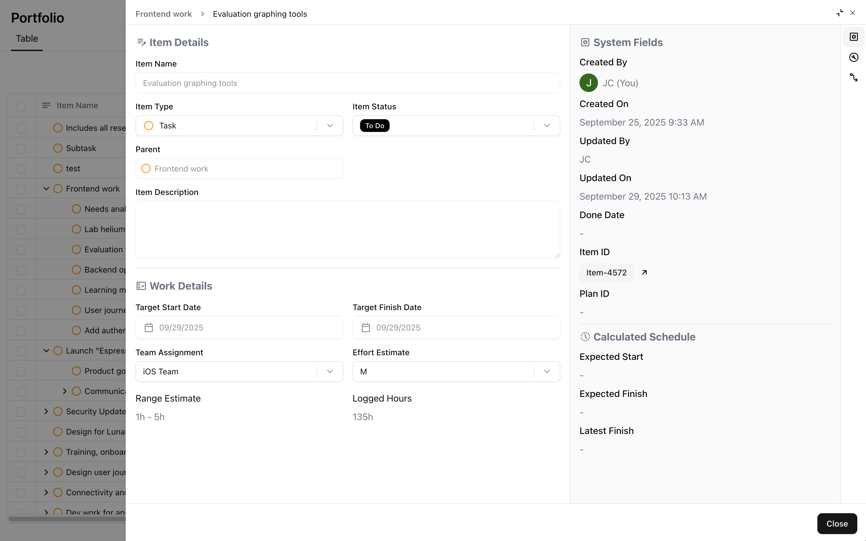 Work Item detail screen.png