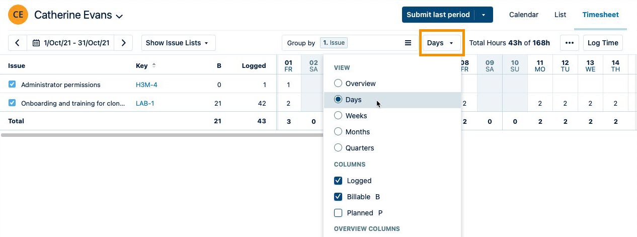Selecting Days view on a Worklog