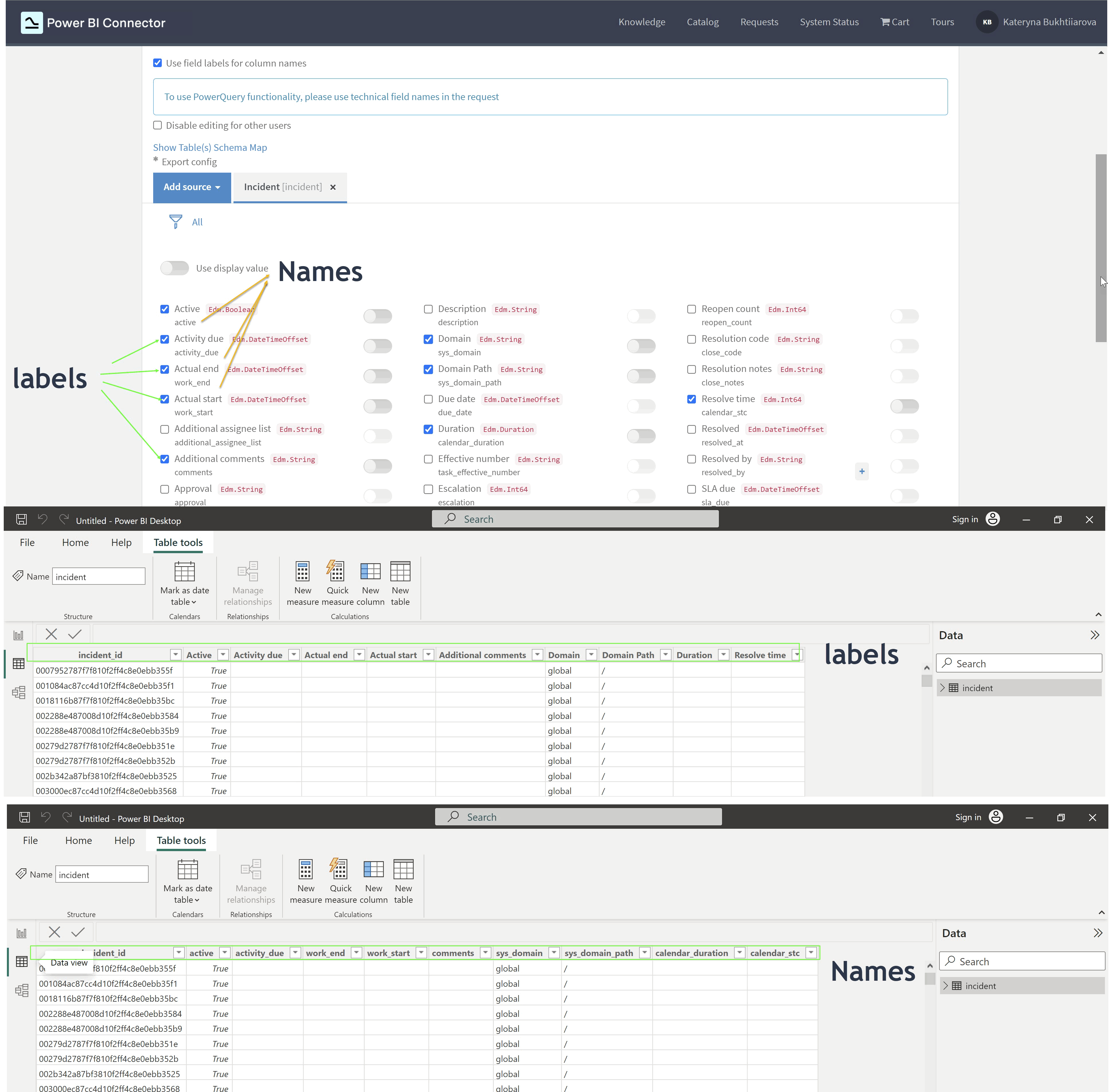 pbi_connector_for_SN_by_tempo_-_ fields_lables.gif