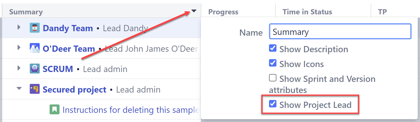 Show Project Lead.png
