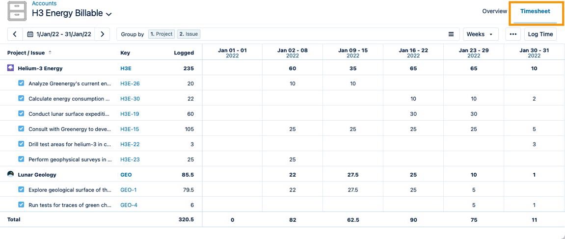 Timesheet view