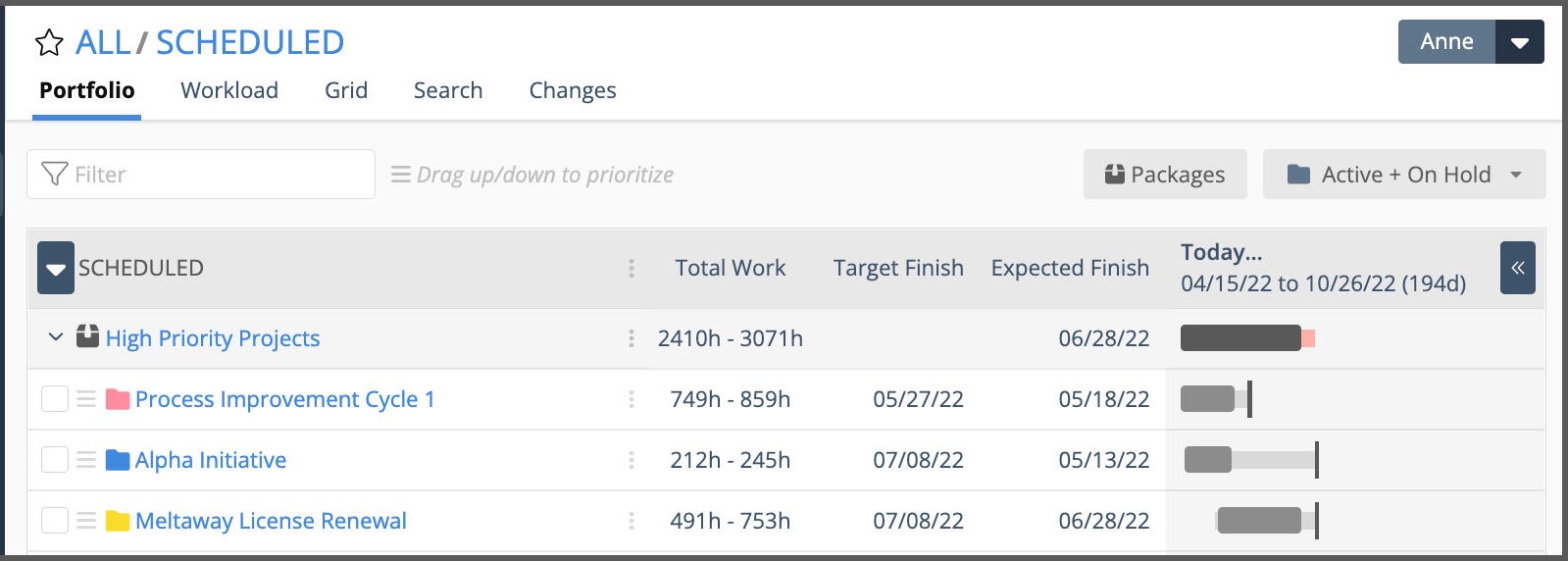 Portfolio, Package and Project Views